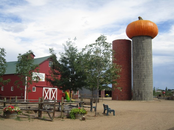 Anderson Farms Seasonal Pumpkin