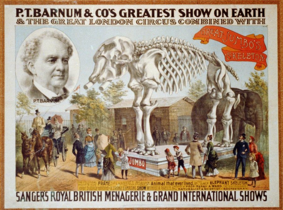 Ad for P.T. Barnum’s circus (provided through Wikipedia) 