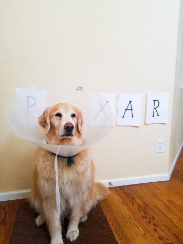 pixar lamp costume