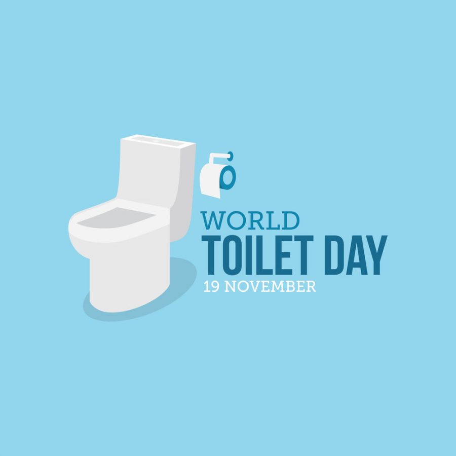 World Toilet Day graphic designed by Waterless Co. Inc