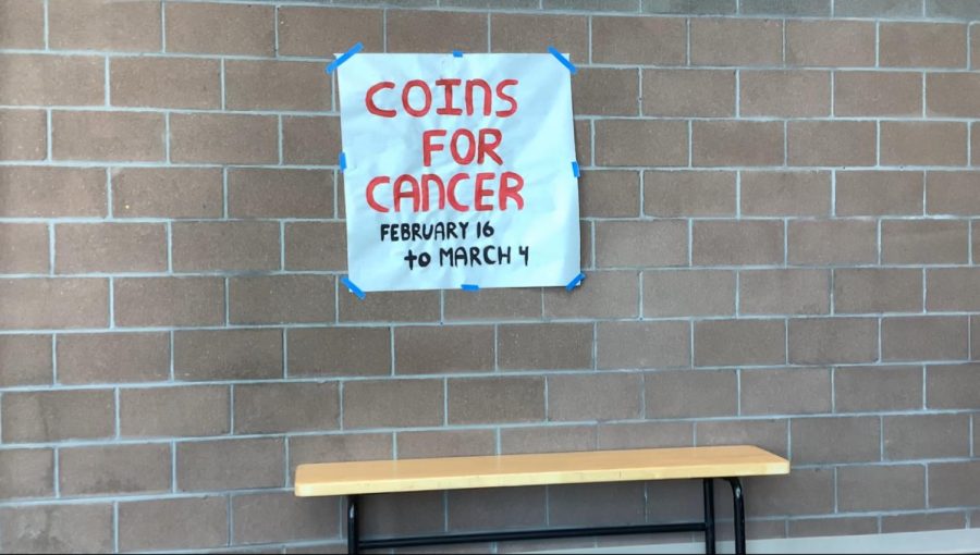 Coins for Cancer Poster