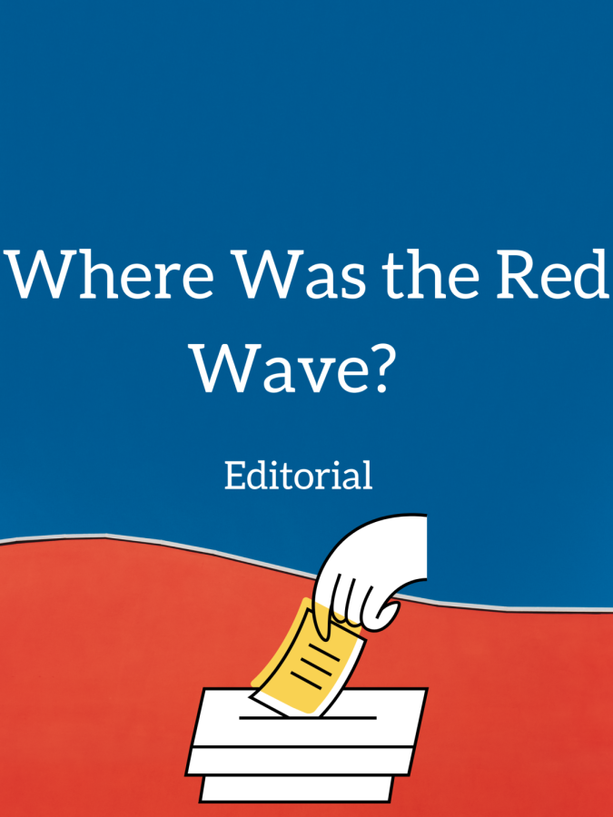 Where Was the Red Wave?