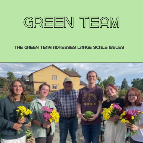 Green Team Addresses Large-Scale Issues