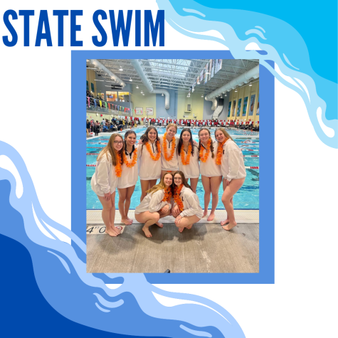 Erie Swim Team Goes to State