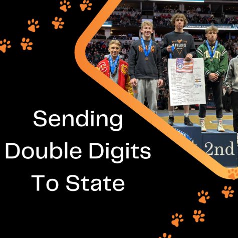 Erie Wrestling Send Double Digits To State