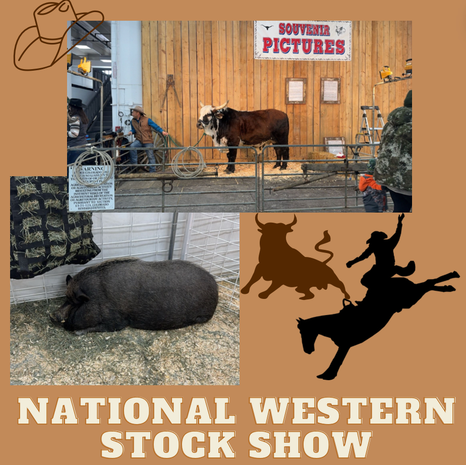 Cowboy Culture Shines Bright at the National Western Stock Show