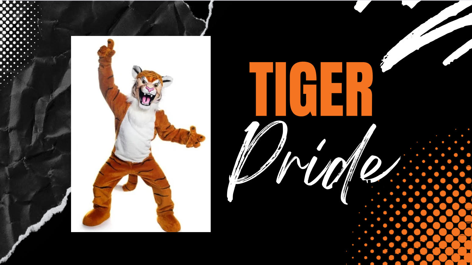 Erie’s Mascot Demonstrates Tiger Pride – Tiger Times