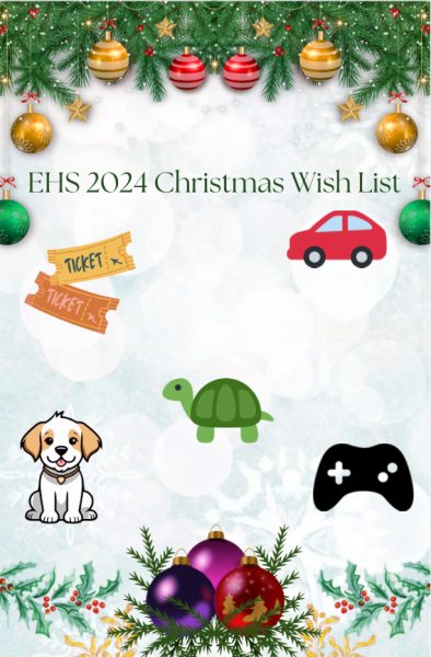 Erie High School Students Share Their 2024 Christmas Wishlists